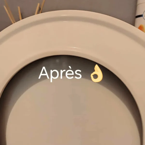 3 Bril WC – Détergent détartrant concentré 750 ml | Action blanchissante